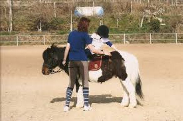 Pernottamento e lezione di equitazione